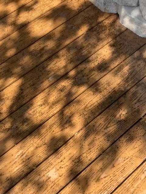 Another look at the deck surface.