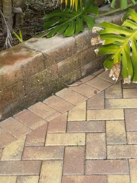 Pressure washing: a photo from one of our jobs